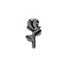SILVER ROSE CHARM